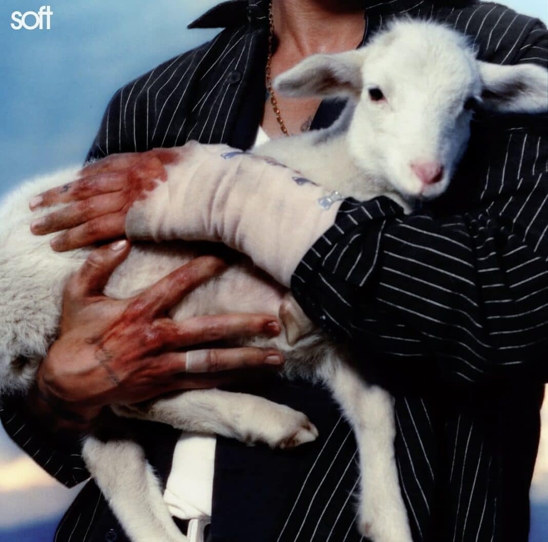 LANY frontman Paul Klein holding a lamb on the cover of the band’s sixth studio album, Soft.