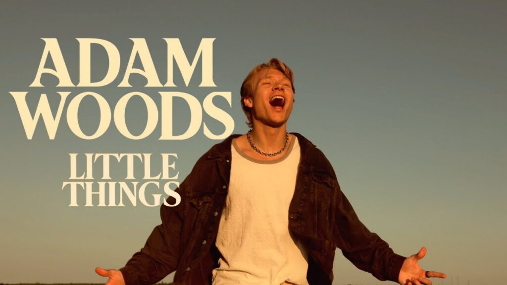 Adam Woods Little things cover